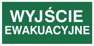 Znak WYJŚCIE EWAKUACYJNE 30x15cm płyta fotoluminescencyjna