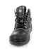 zx01-3.jpg