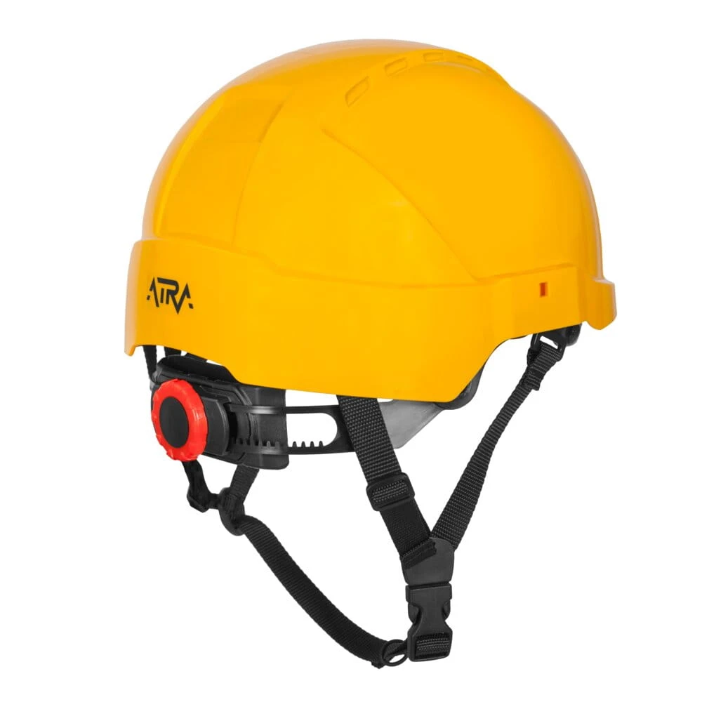 ATRA10_MG_4533_yellow.jpeg
